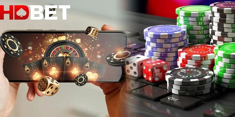 Điều khoản dịch vụ HDBET về chính sách cung cấp sản phẩm cược